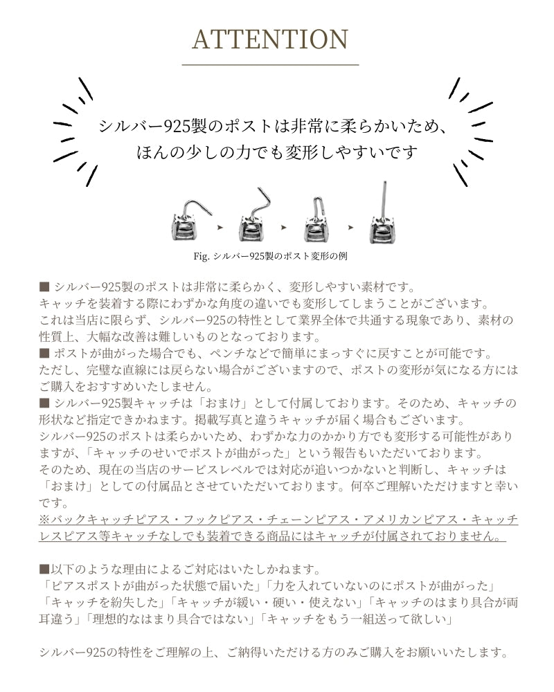 Silver925 Pierced Earring/p0265