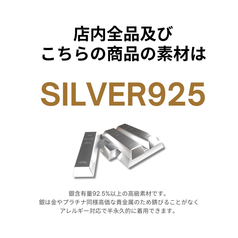 Silver925 Pierced Earring/p0265