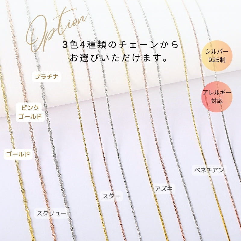 Silver925 Necklace/n0008