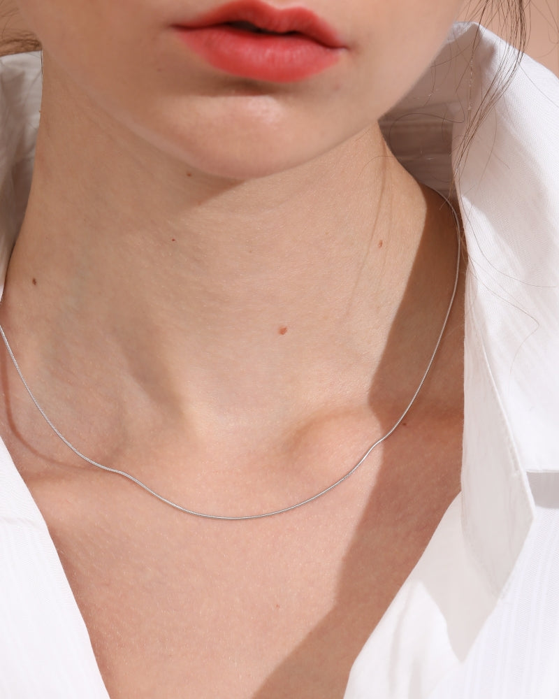 Silver925 Necklace/n0075