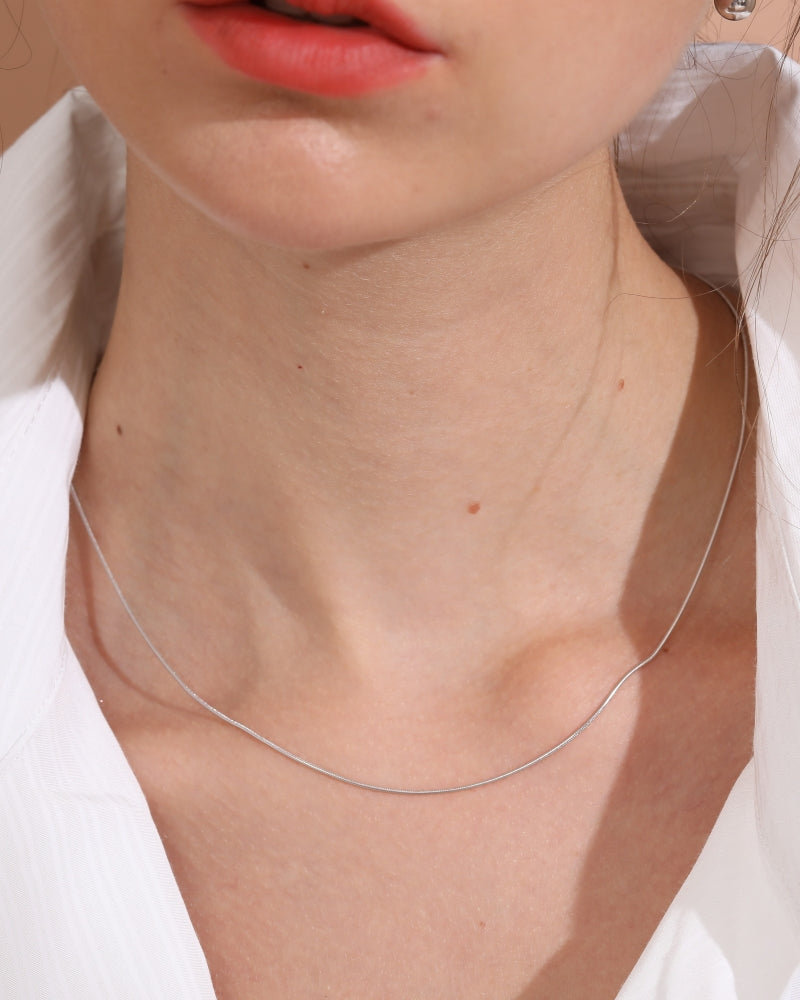 Silver925 Necklace/n0075