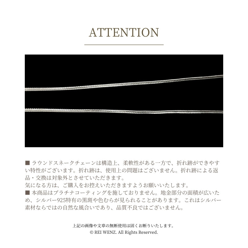 Silver925 Necklace/n0178