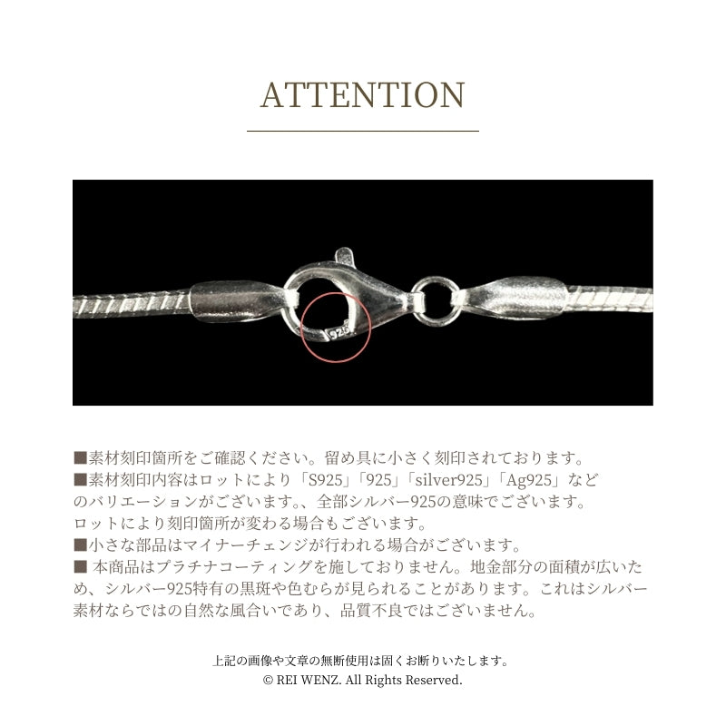 Silver925 Necklace/n0179