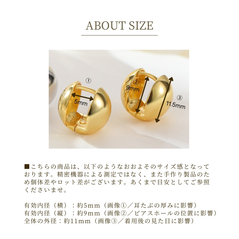 Silver925 Pierced Earring/p0258